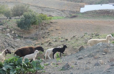 Agiofarago Crete, Greece