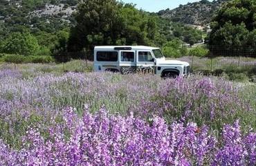 Αγιοφάραγγο, Κρήτη