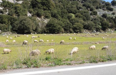 Lasithi Crete, Greece