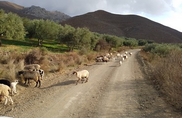 Lasithi Crète, Grèce