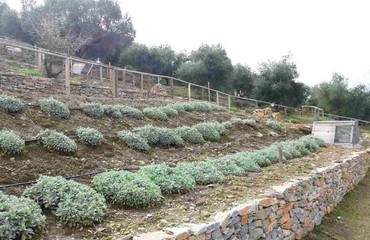 Zeus Thematic Park Crète, Grèce